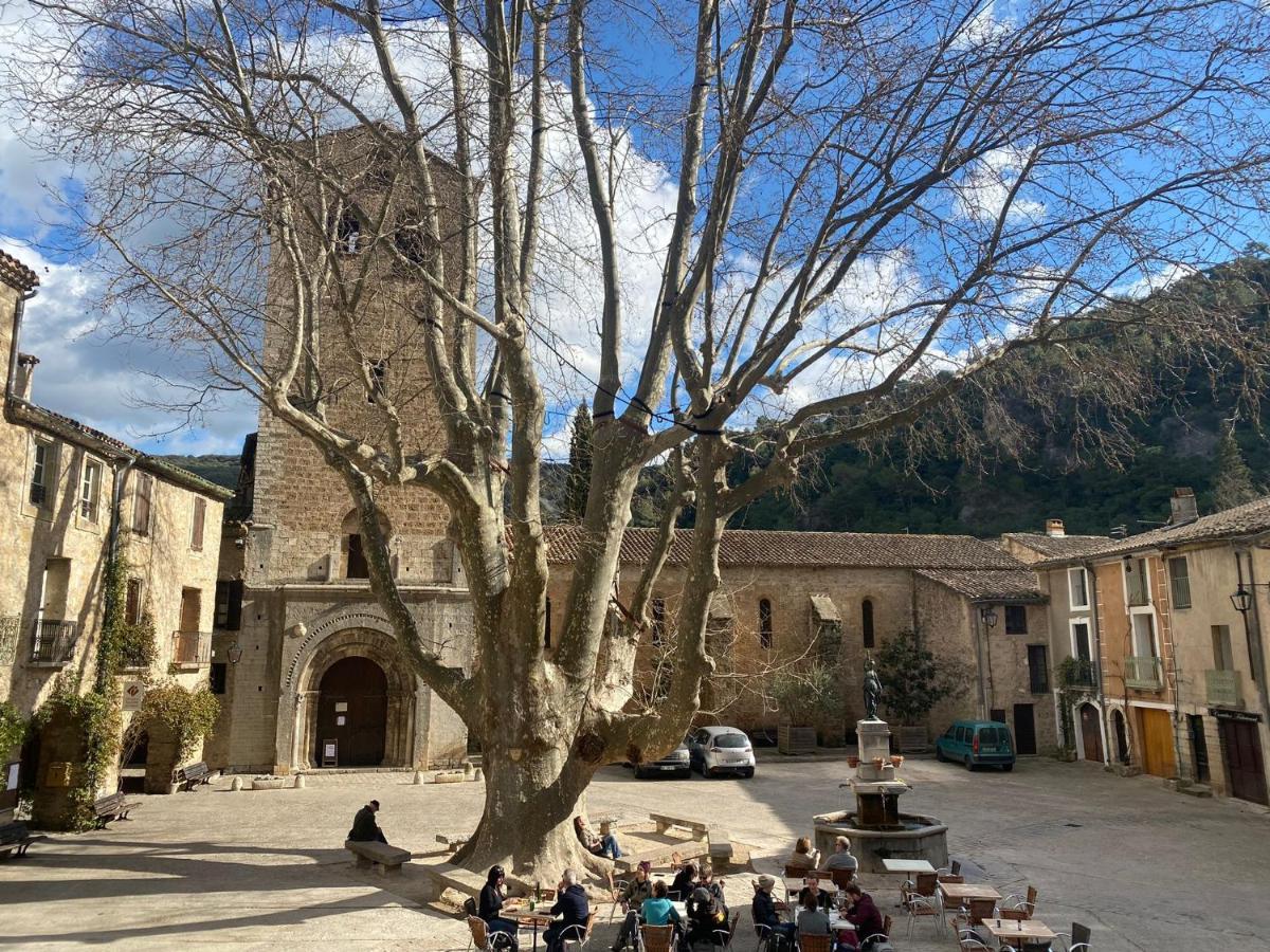 Maclenfa: Au Coeur De L'herault. *